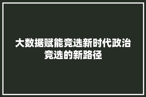 大数据赋能竞选新时代政治竞选的新路径  第1张