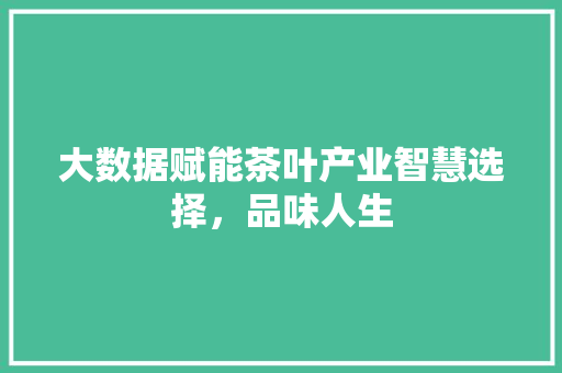 大数据赋能茶叶产业智慧选择，品味人生  第1张