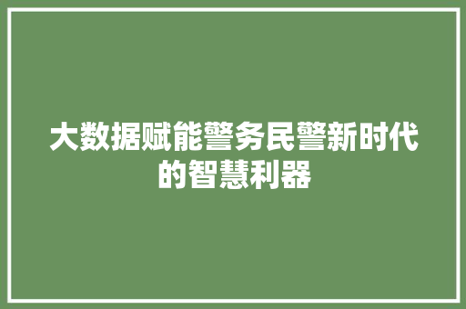 大数据赋能警务民警新时代的智慧利器  第1张