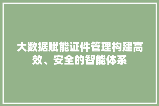 大数据赋能证件管理构建高效、安全的智能体系