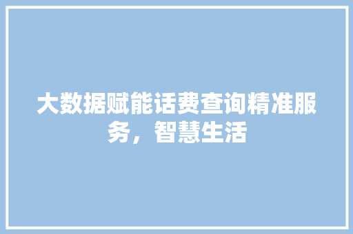 大数据赋能话费查询精准服务，智慧生活