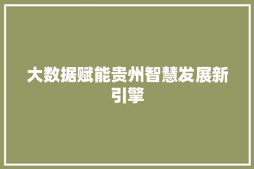 大数据赋能贵州智慧发展新引擎  第1张