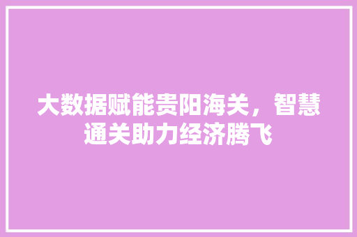 大数据赋能贵阳海关，智慧通关助力经济腾飞  第1张