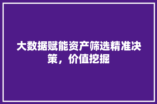 大数据赋能资产筛选精准决策，价值挖掘