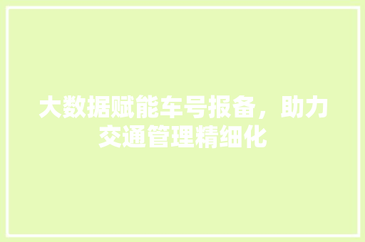 大数据赋能车号报备，助力交通管理精细化