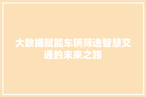 大数据赋能车辆筛选智慧交通的未来之路  第1张