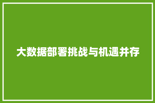 大数据部署挑战与机遇并存