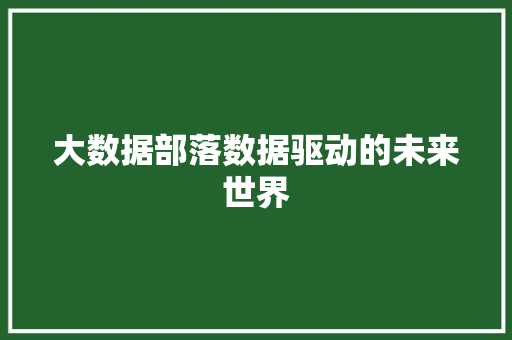 大数据部落数据驱动的未来世界