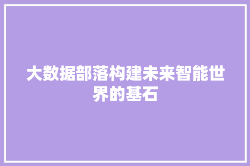 大数据部落构建未来智能世界的基石