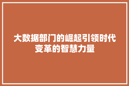 大数据部门的崛起引领时代变革的智慧力量