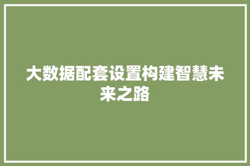 大数据配套设置构建智慧未来之路  第1张