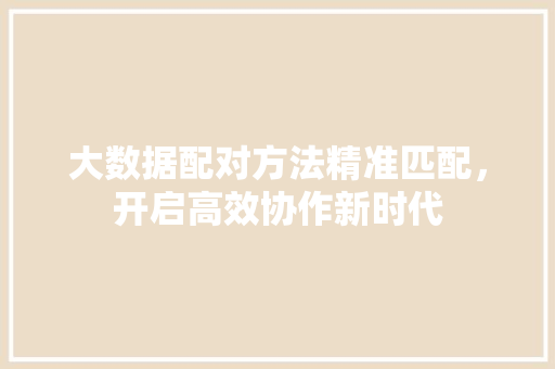 大数据配对方法精准匹配，开启高效协作新时代