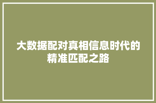 大数据配对真相信息时代的精准匹配之路