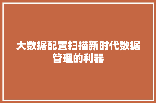 大数据配置扫描新时代数据管理的利器