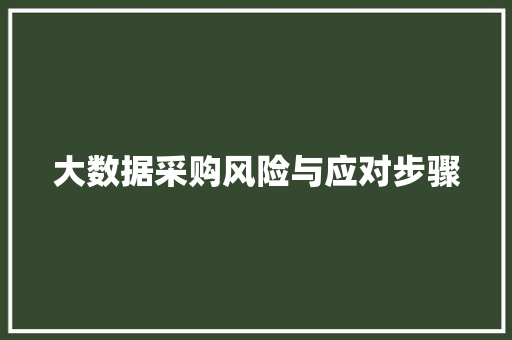 大数据采购风险与应对步骤  第1张