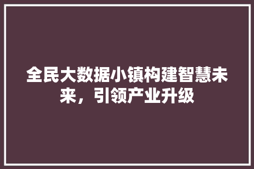 全民大数据小镇构建智慧未来，引领产业升级