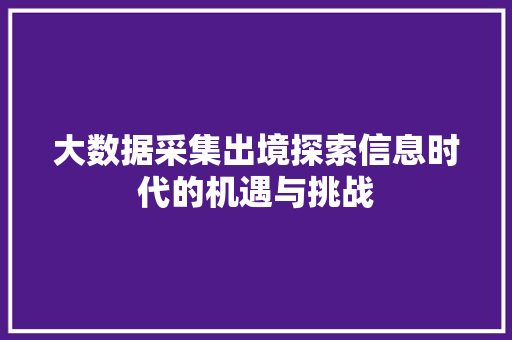 大数据采集出境探索信息时代的机遇与挑战  第1张