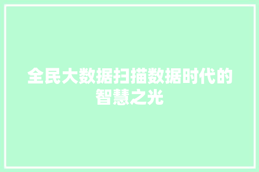 全民大数据扫描数据时代的智慧之光