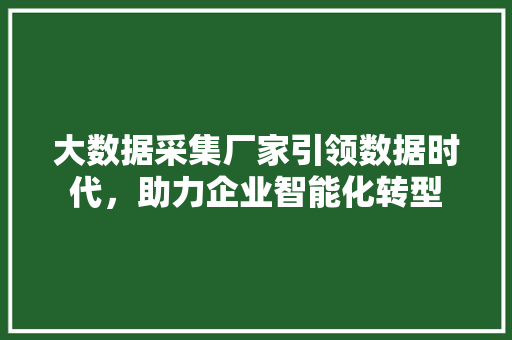 大数据采集厂家引领数据时代，助力企业智能化转型  第1张