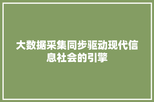 大数据采集同步驱动现代信息社会的引擎