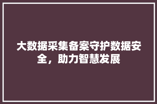 大数据采集备案守护数据安全，助力智慧发展