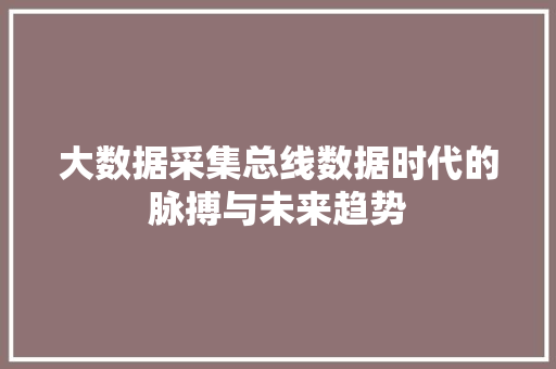 大数据采集总线数据时代的脉搏与未来趋势