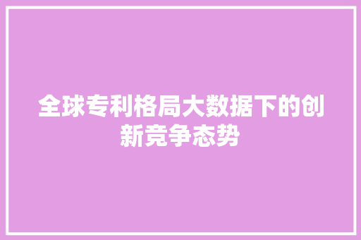 全球专利格局大数据下的创新竞争态势
