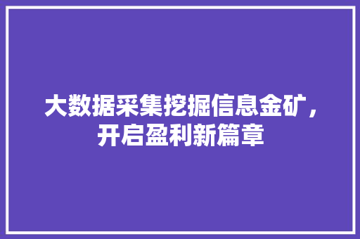 大数据采集挖掘信息金矿，开启盈利新篇章  第1张