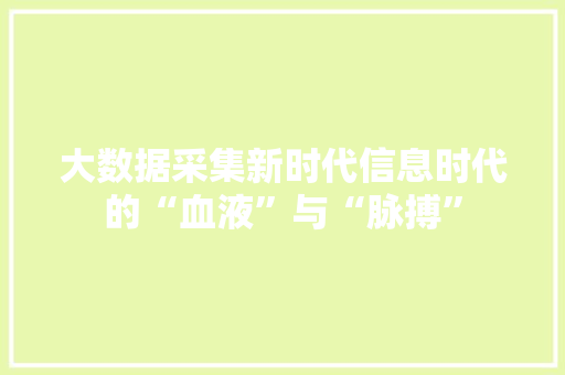 大数据采集新时代信息时代的“血液”与“脉搏”  第1张