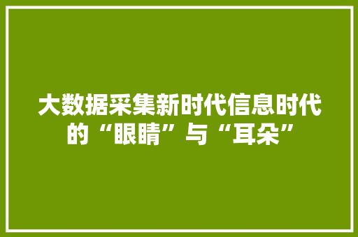 大数据采集新时代信息时代的“眼睛”与“耳朵”  第1张