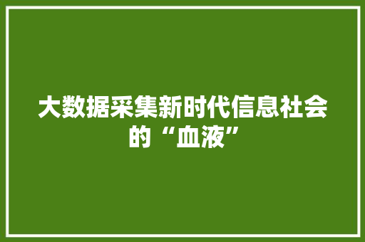大数据采集新时代信息社会的“血液”  第1张