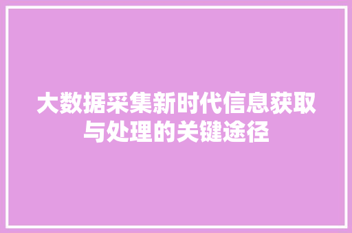 大数据采集新时代信息获取与处理的关键途径  第1张