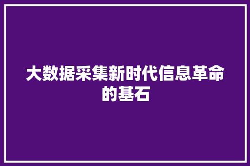大数据采集新时代信息革命的基石  第1张