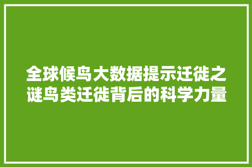 全球候鸟大数据提示迁徙之谜鸟类迁徙背后的科学力量