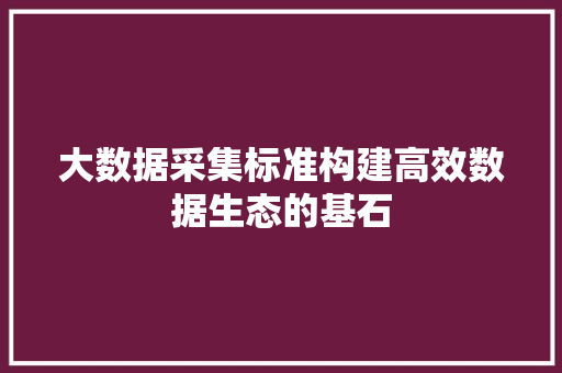 大数据采集标准构建高效数据生态的基石  第1张