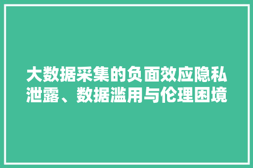 大数据采集的负面效应隐私泄露、数据滥用与伦理困境  第1张