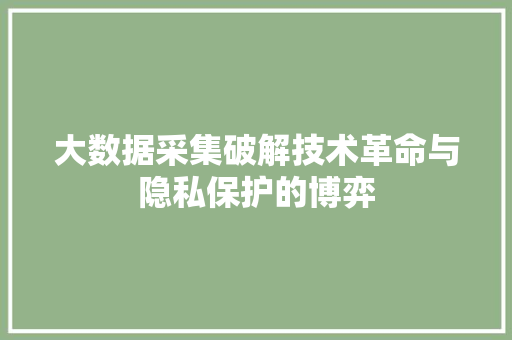 大数据采集破解技术革命与隐私保护的博弈  第1张