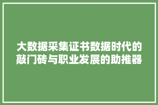大数据采集证书数据时代的敲门砖与职业发展的助推器