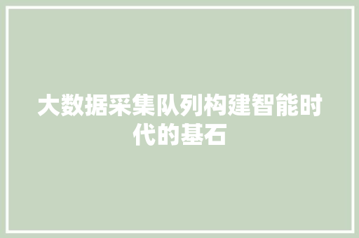 大数据采集队列构建智能时代的基石