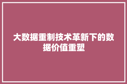 大数据重制技术革新下的数据价值重塑  第1张