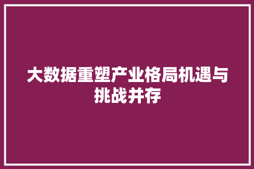 大数据重塑产业格局机遇与挑战并存  第1张