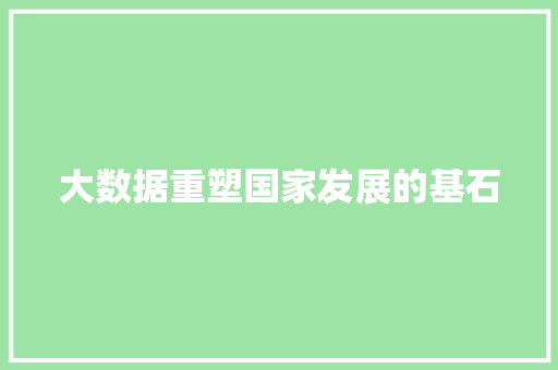 大数据重塑国家发展的基石  第1张