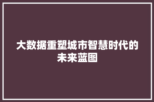 大数据重塑城市智慧时代的未来蓝图  第1张