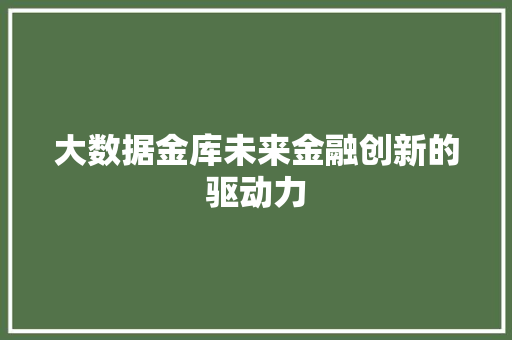 大数据金库未来金融创新的驱动力