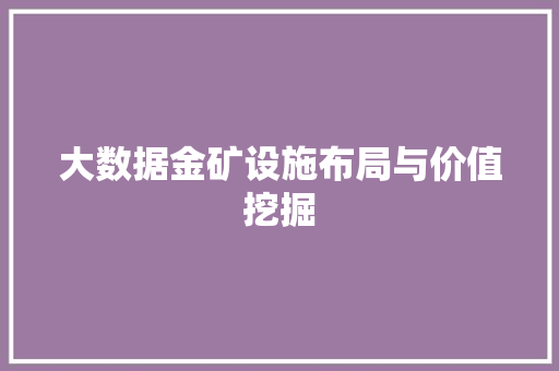大数据金矿设施布局与价值挖掘