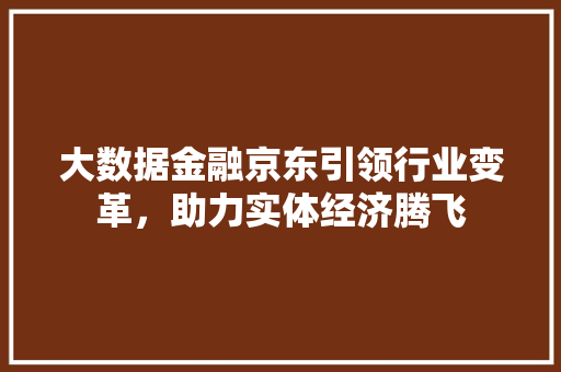 大数据金融京东引领行业变革，助力实体经济腾飞  第1张