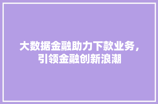 大数据金融助力下款业务，引领金融创新浪潮  第1张