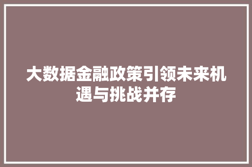 大数据金融政策引领未来机遇与挑战并存
