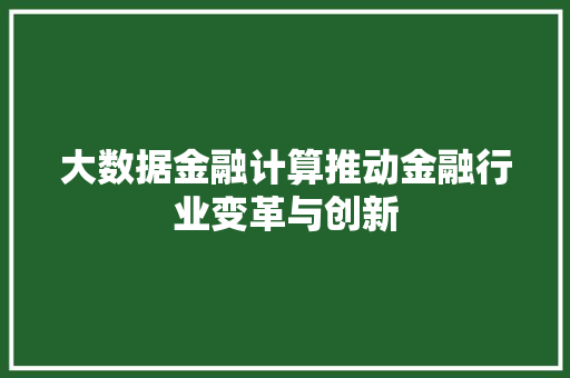 大数据金融计算推动金融行业变革与创新  第1张