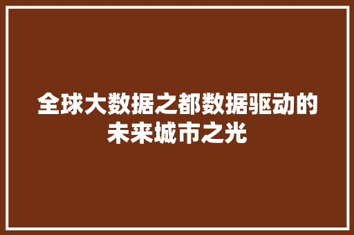 全球大数据之都数据驱动的未来城市之光